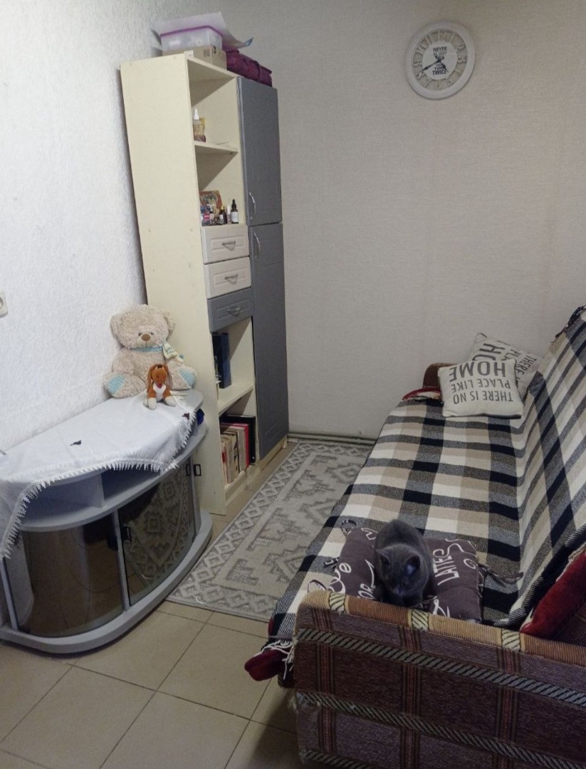 продажа дома номер H-174047 в Светлом, фото номер 8
